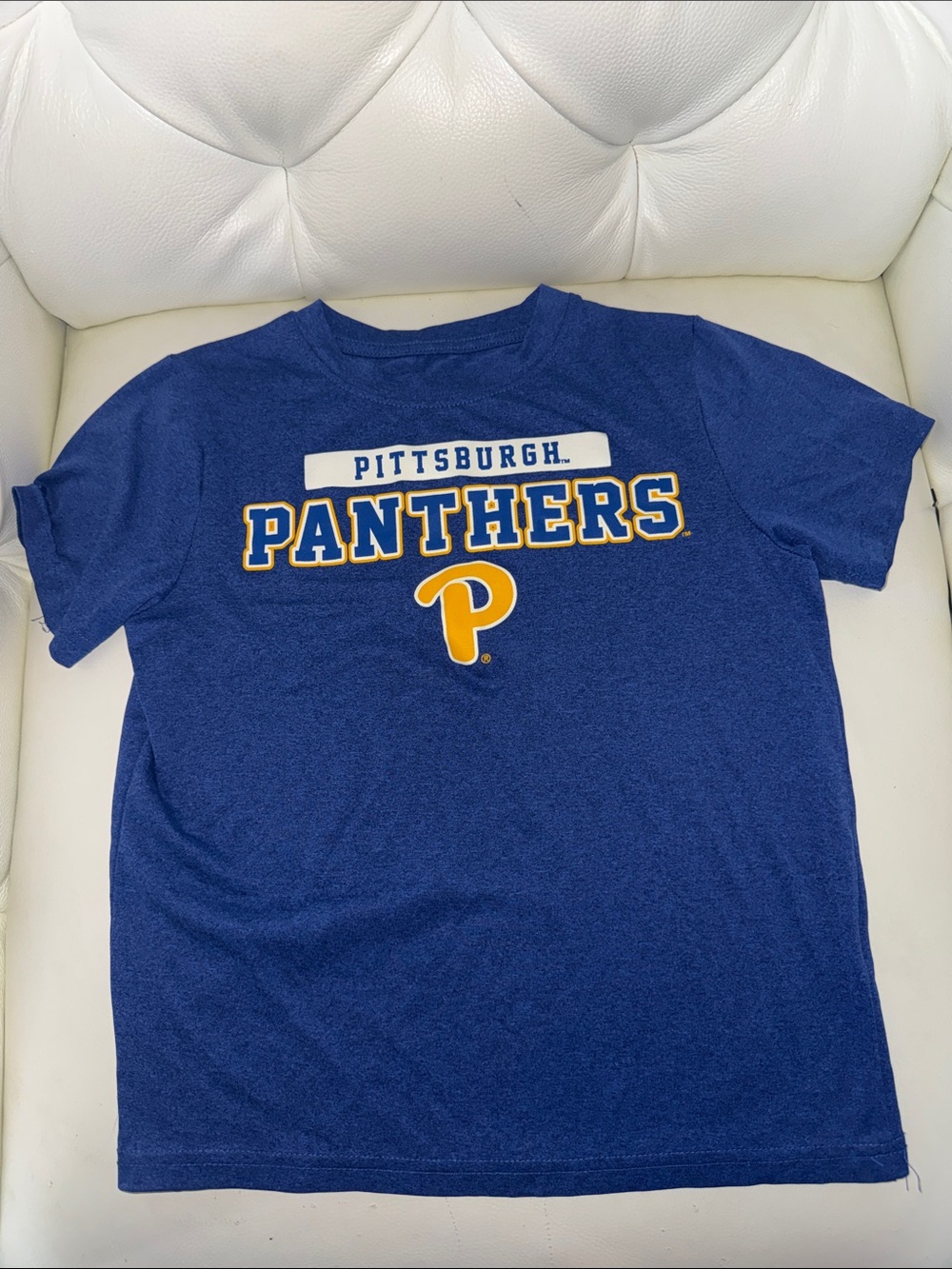 Pittsburgh Panthers Blue Logo Tee
